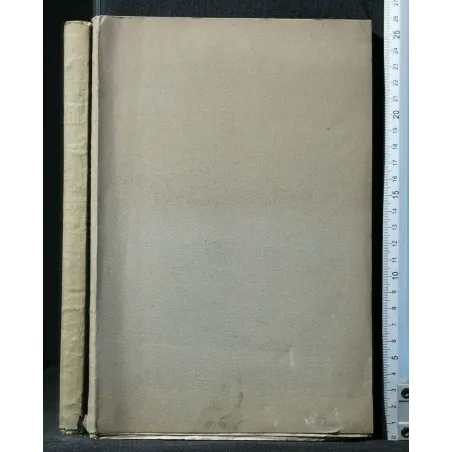 DIE EINWIRKUNG DER KRANKHEITEN AUF DIE ERWERBSFAHIGKEIT