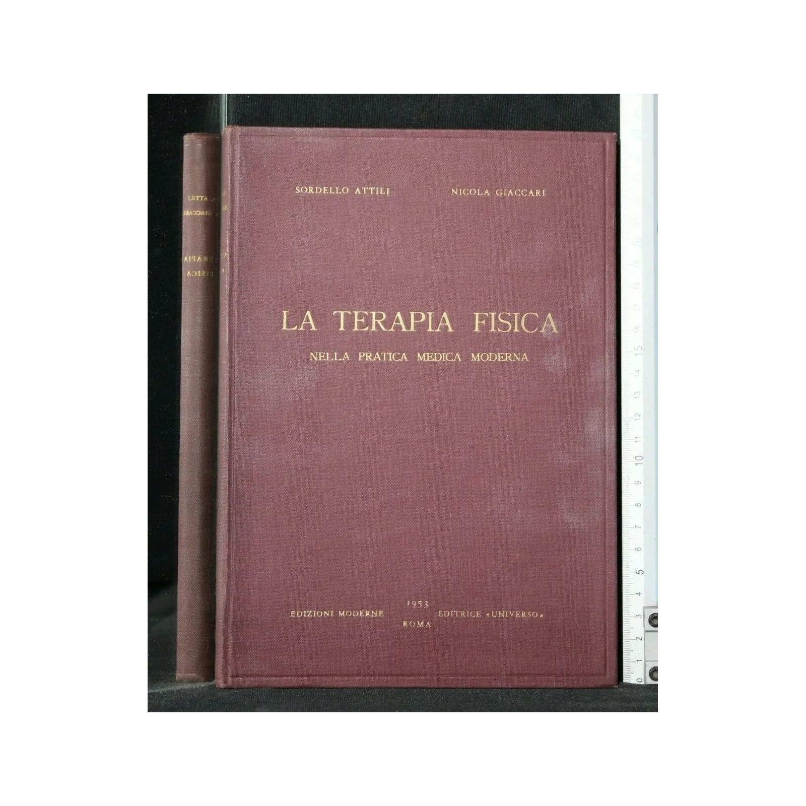 LA TERAPIA FISICA NELLA PRATICA MEDICA MODERNA