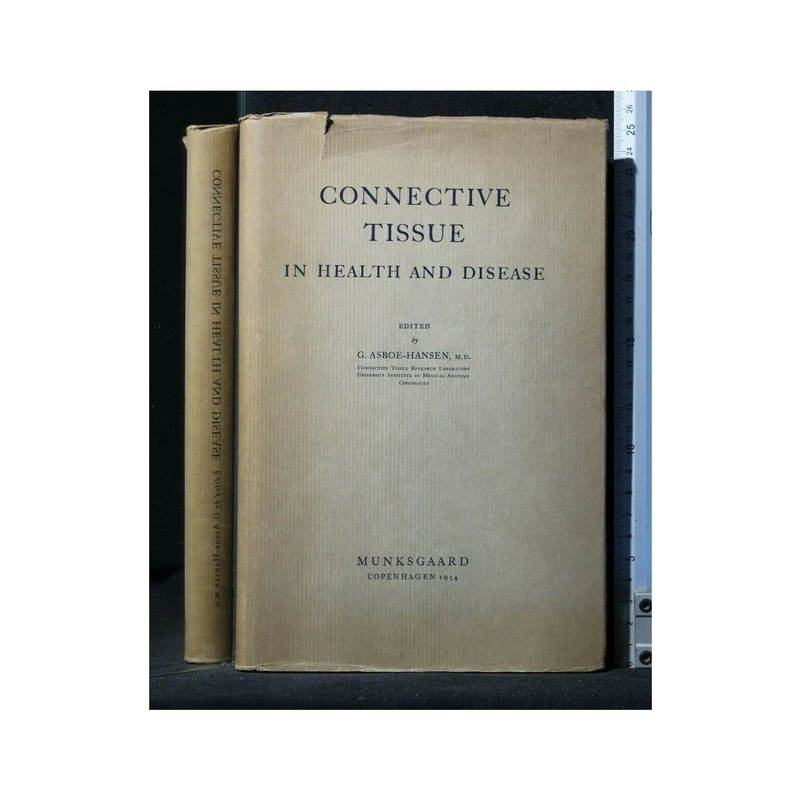 CONNECTIVE TISSUE IN HEALTH AND DISEASE