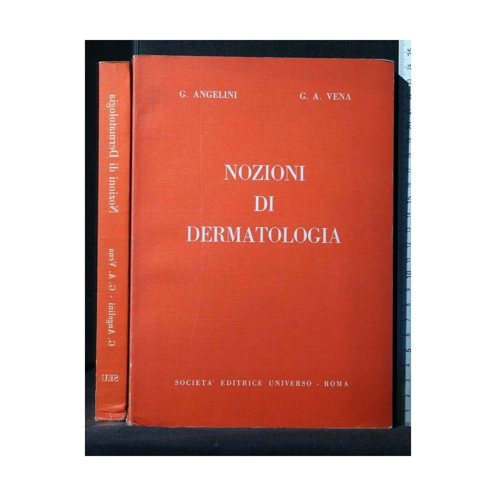 NOZIONI DI DERMATOLOGIA