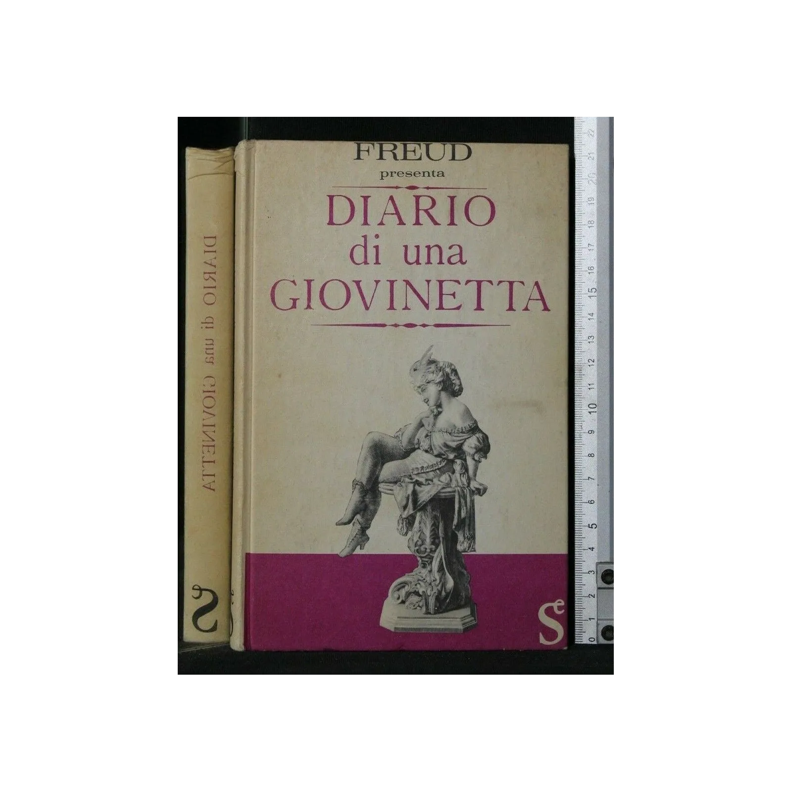 DIARIO DI UNA GIOVINETTA