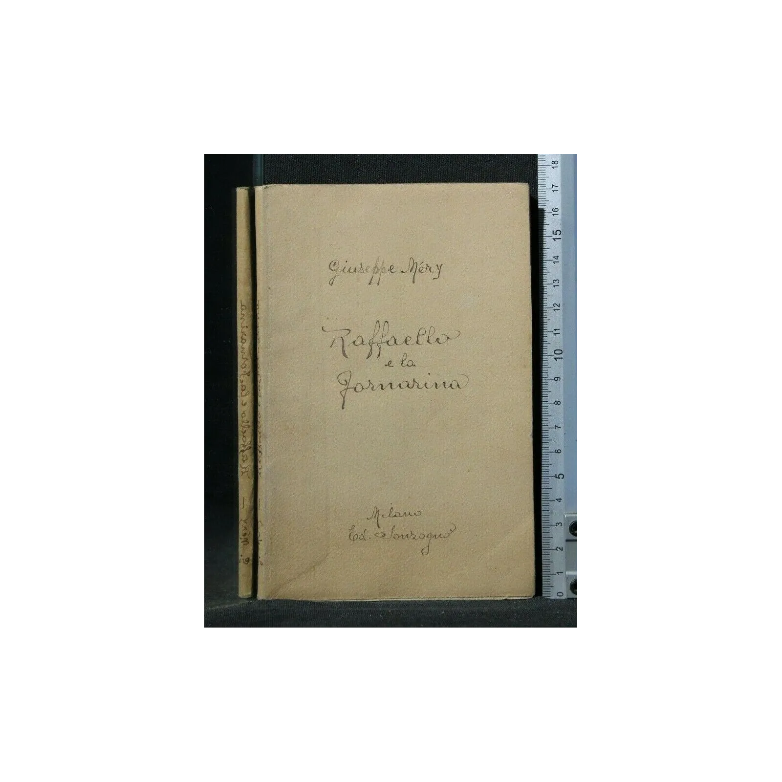 RAFFAELLO E LA FORNARINA