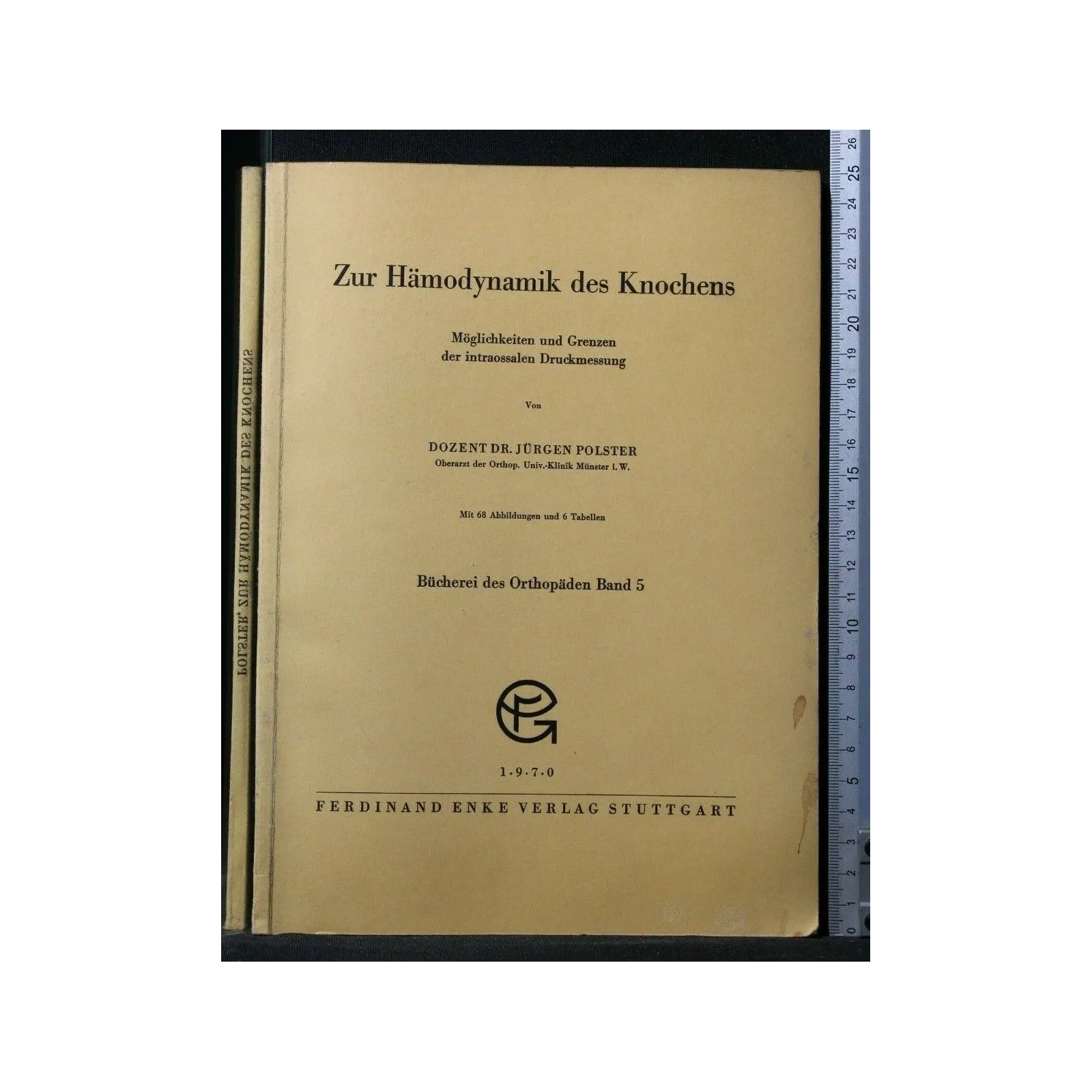 ZUR HAMODYNAMIK DES KNOCHENS