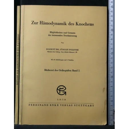 ZUR HAMODYNAMIK DES KNOCHENS