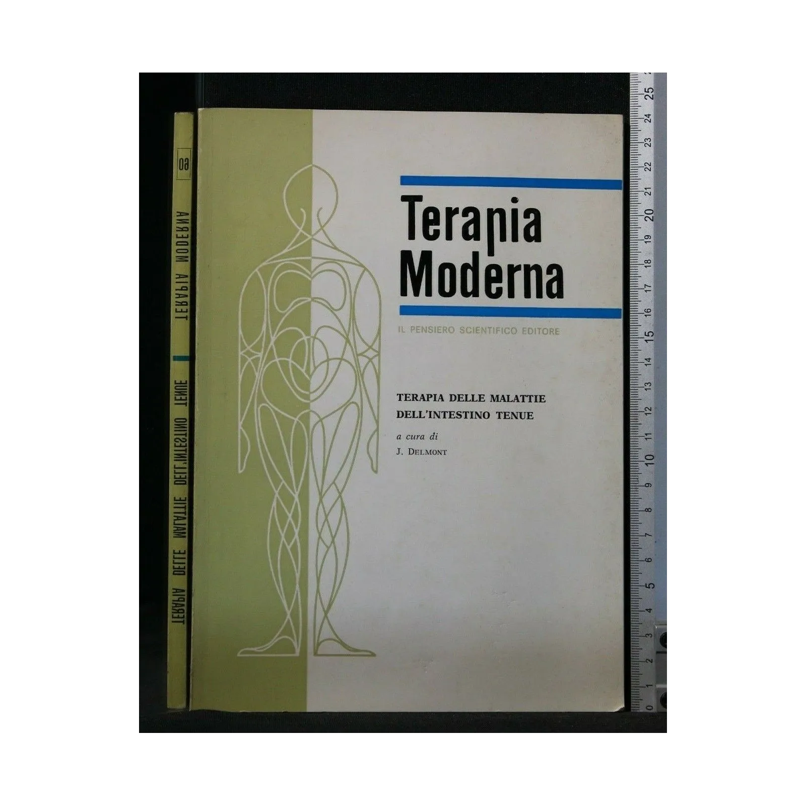 TERAPIA MODERNA TERAPIA DELLE MALATTIE DELL'INTESTINO TENUE
