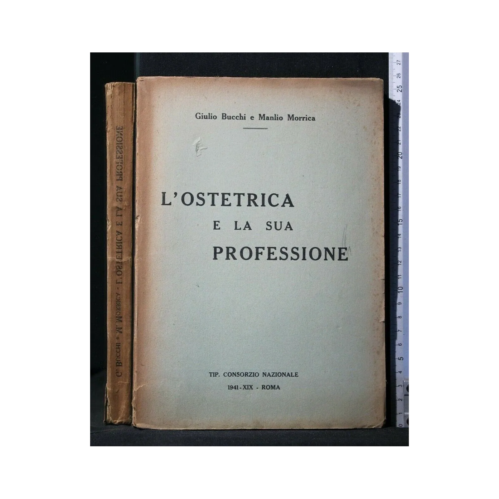 L'OSTETRICA E LA SUA PROFESSIONE