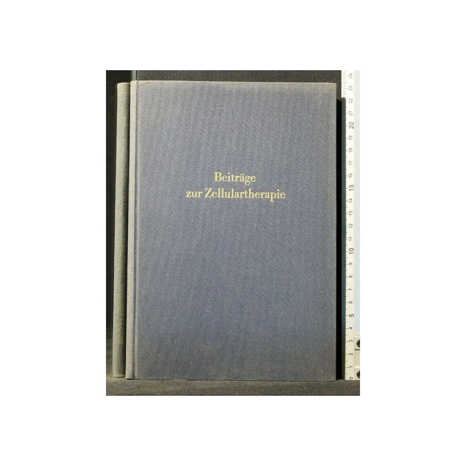 BEITRAGE ZUR ZELLULARTHERAPIE