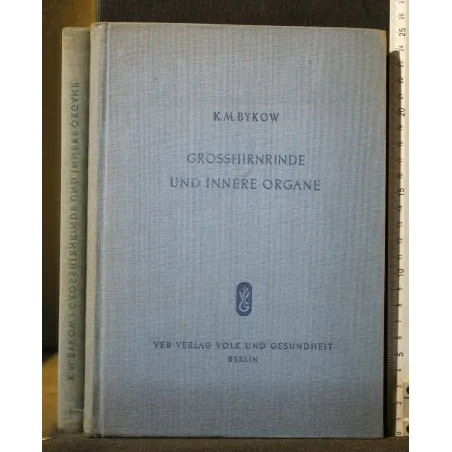 GROSSHIRNRINDE UND INNERE ORGANE