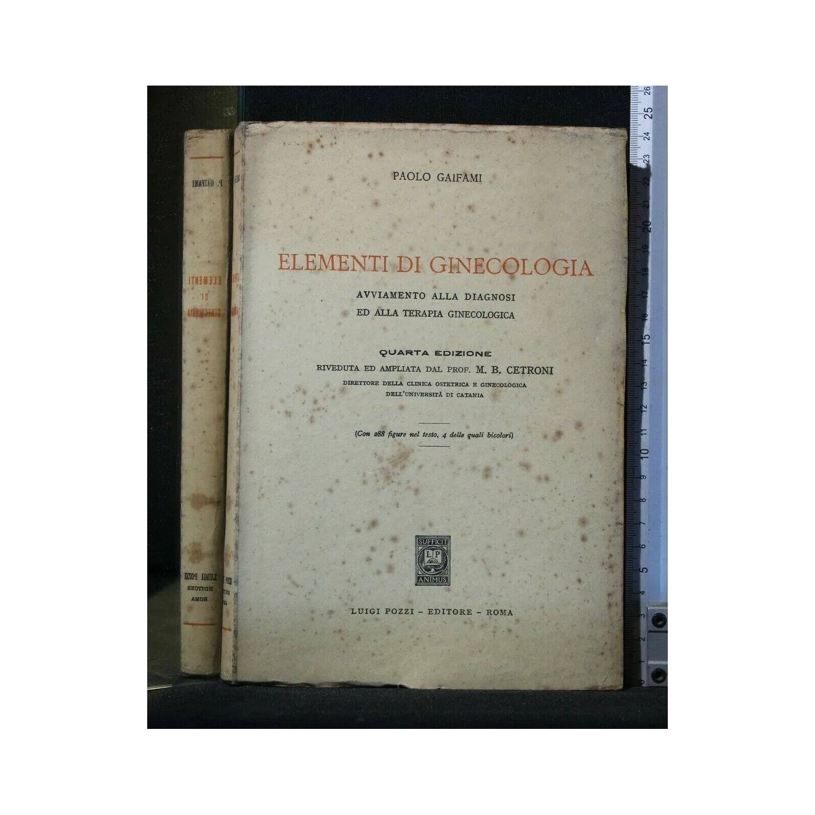 ELEMENTI DI GINECOLOGIA