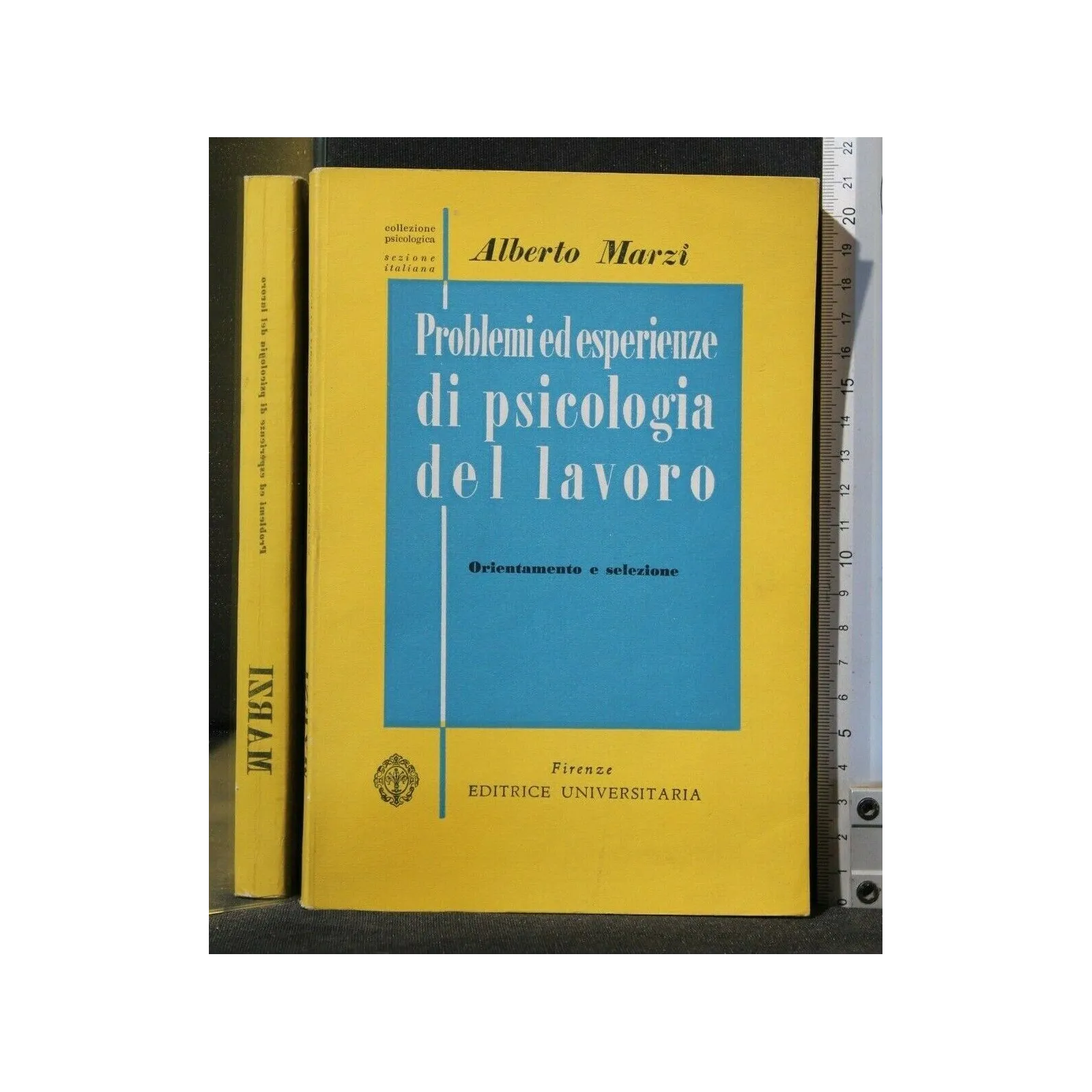 PROBLEMI ED ESPERIENZE DI PSICOLOGIA DEL LAVORO