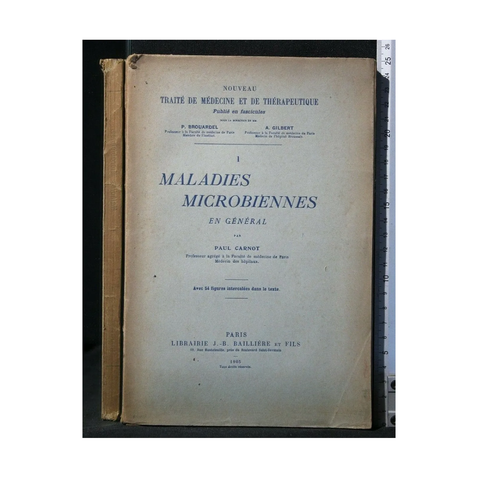 MALADIES MICROBIENNES EN GENERAL
