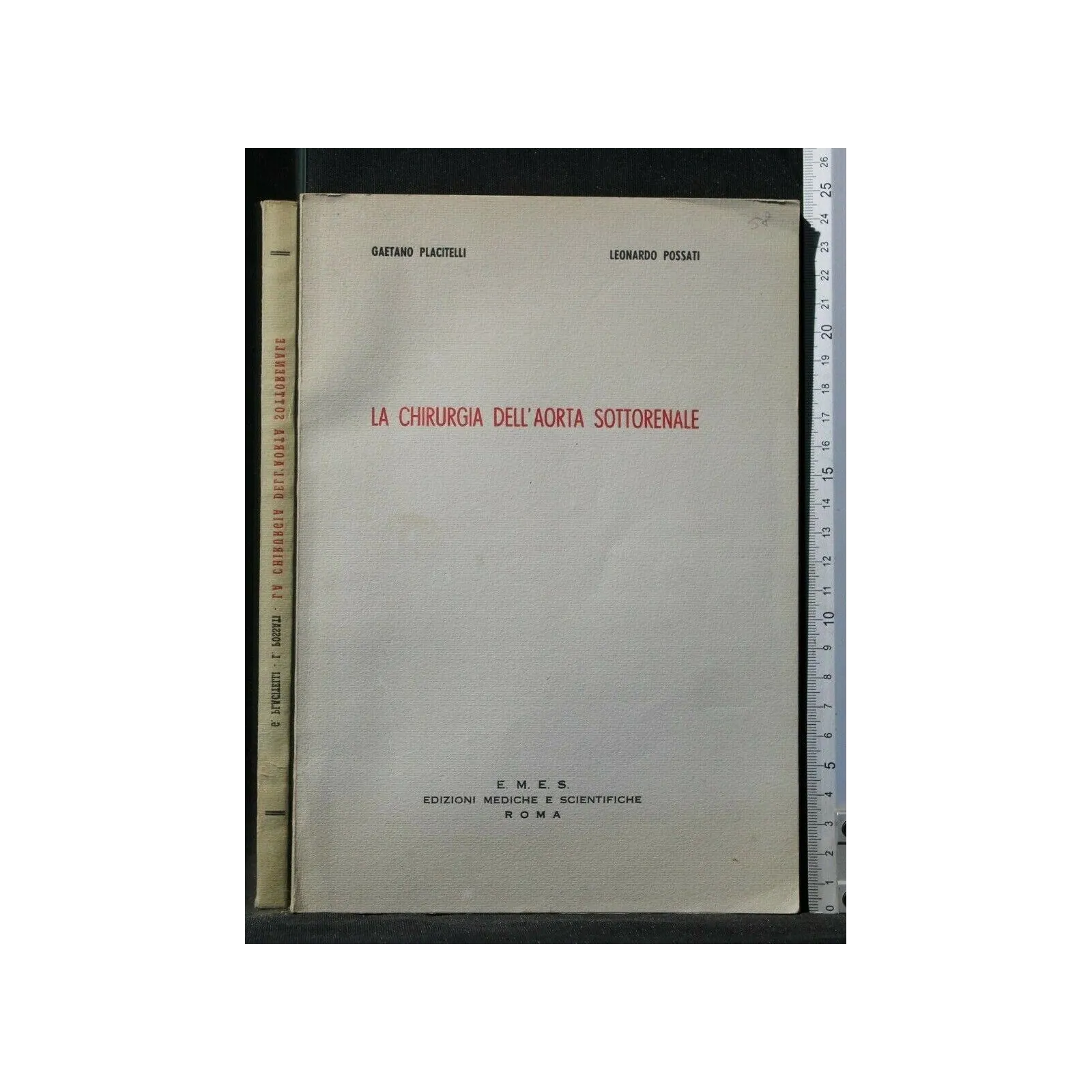 LA CHIRURGIA DELL'AORTA SOTTORENALE