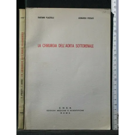 LA CHIRURGIA DELL'AORTA SOTTORENALE