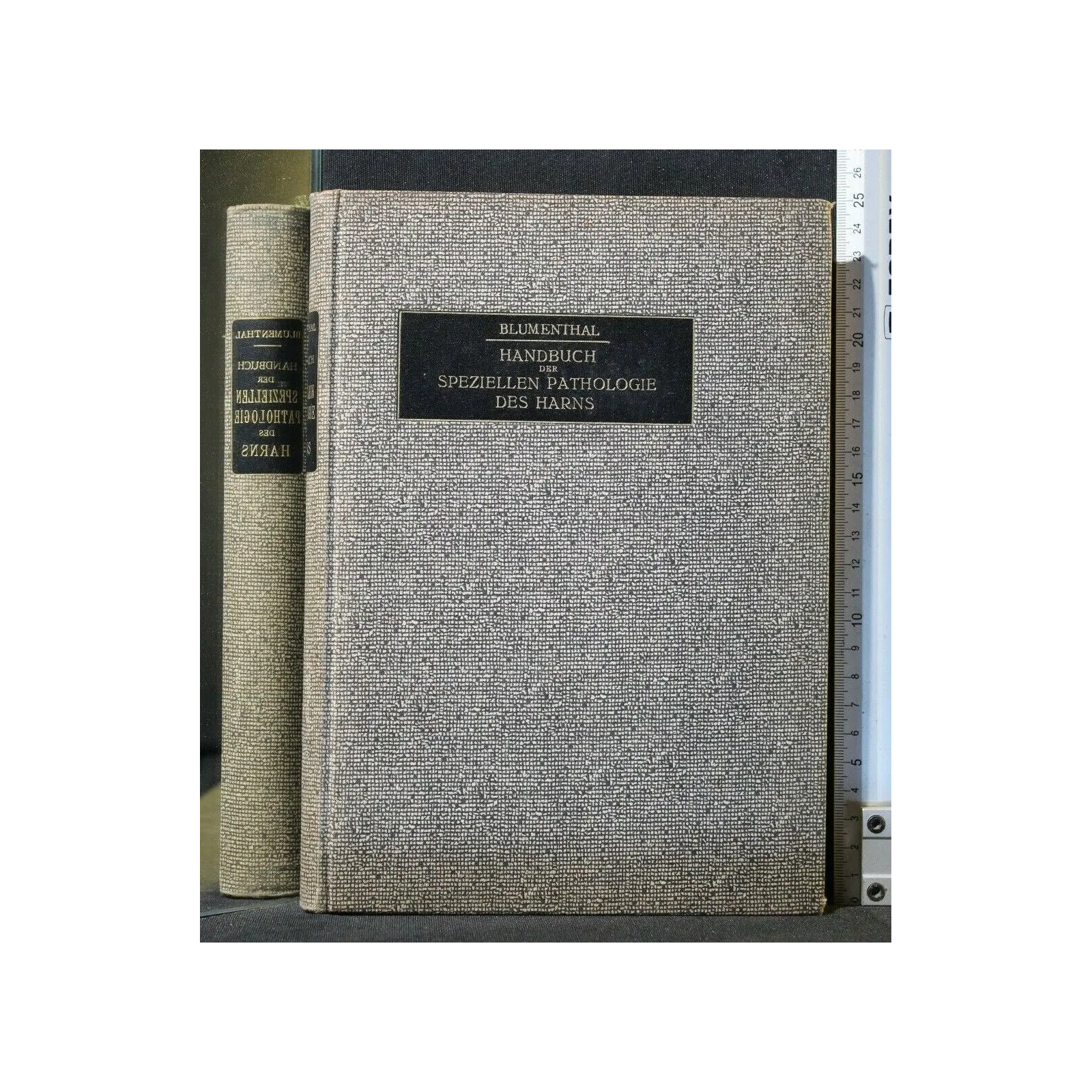 HANDBUCH DER SPEZIELLEN PATHOLOGIE DES HARNS