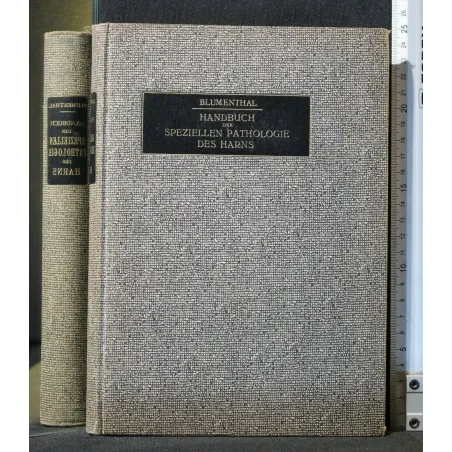 HANDBUCH DER SPEZIELLEN PATHOLOGIE DES HARNS