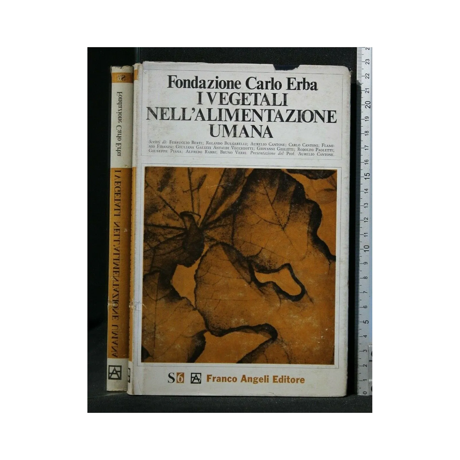 I VEGETALI NELL'ALIMENTAZIONE UMANA