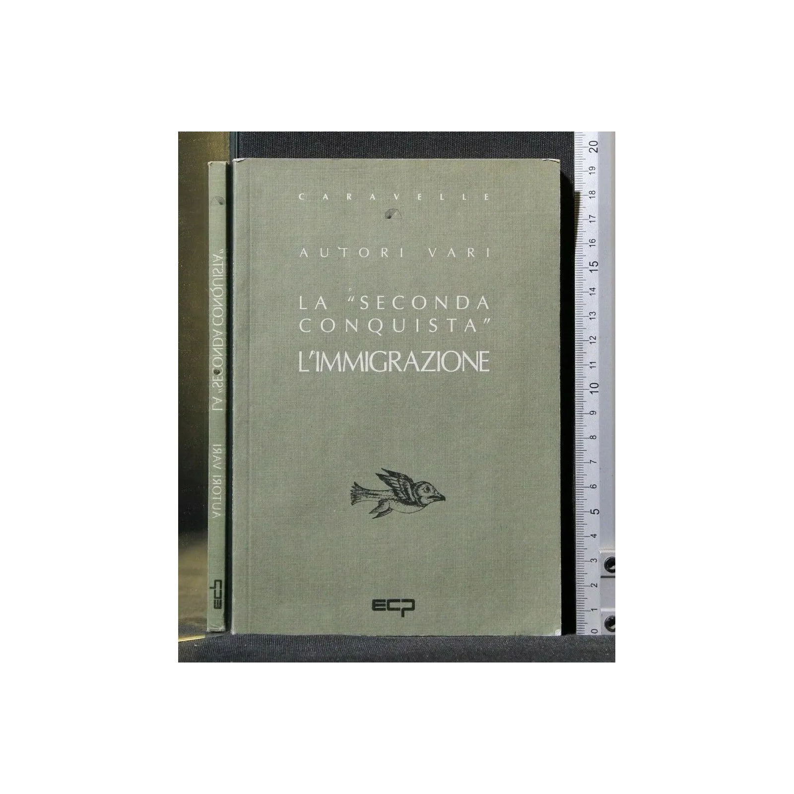 LA ''SECONDA CONQUISTA'' L'IMMIGRAZIONE