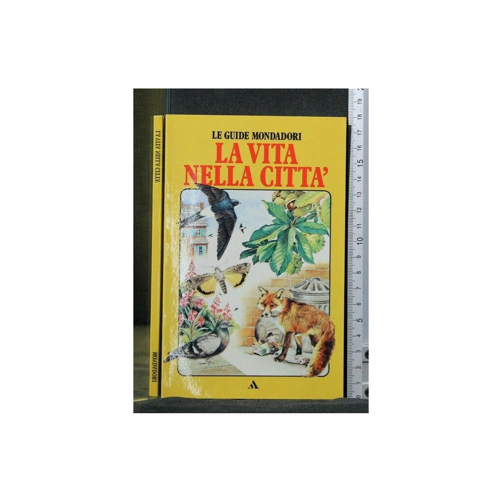 LA VITA NELLA CITTA'