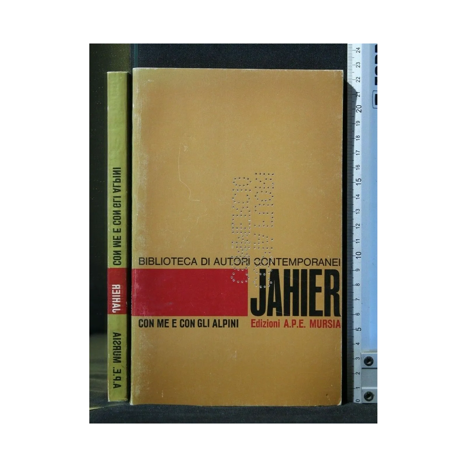 CON ME E CON GLI ALPINI