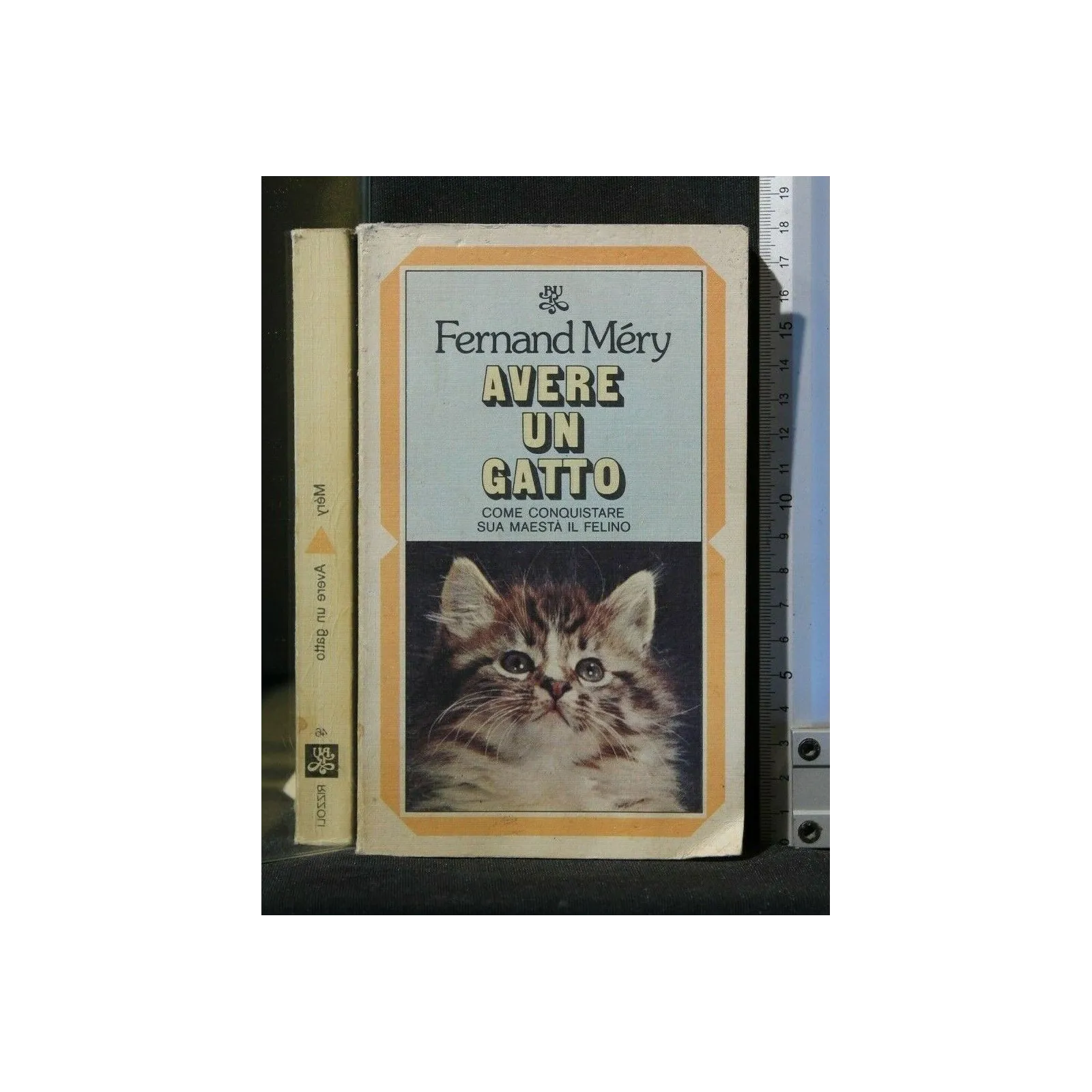 AVERE UN GATTO COME CONQUISTARE SUA MAESTA' IL FELINO