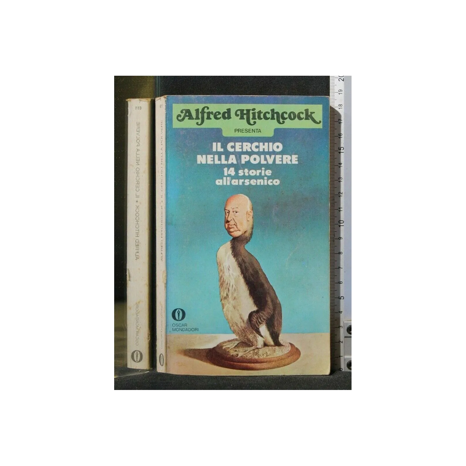 IL CERCHIO NELLA POLVERE