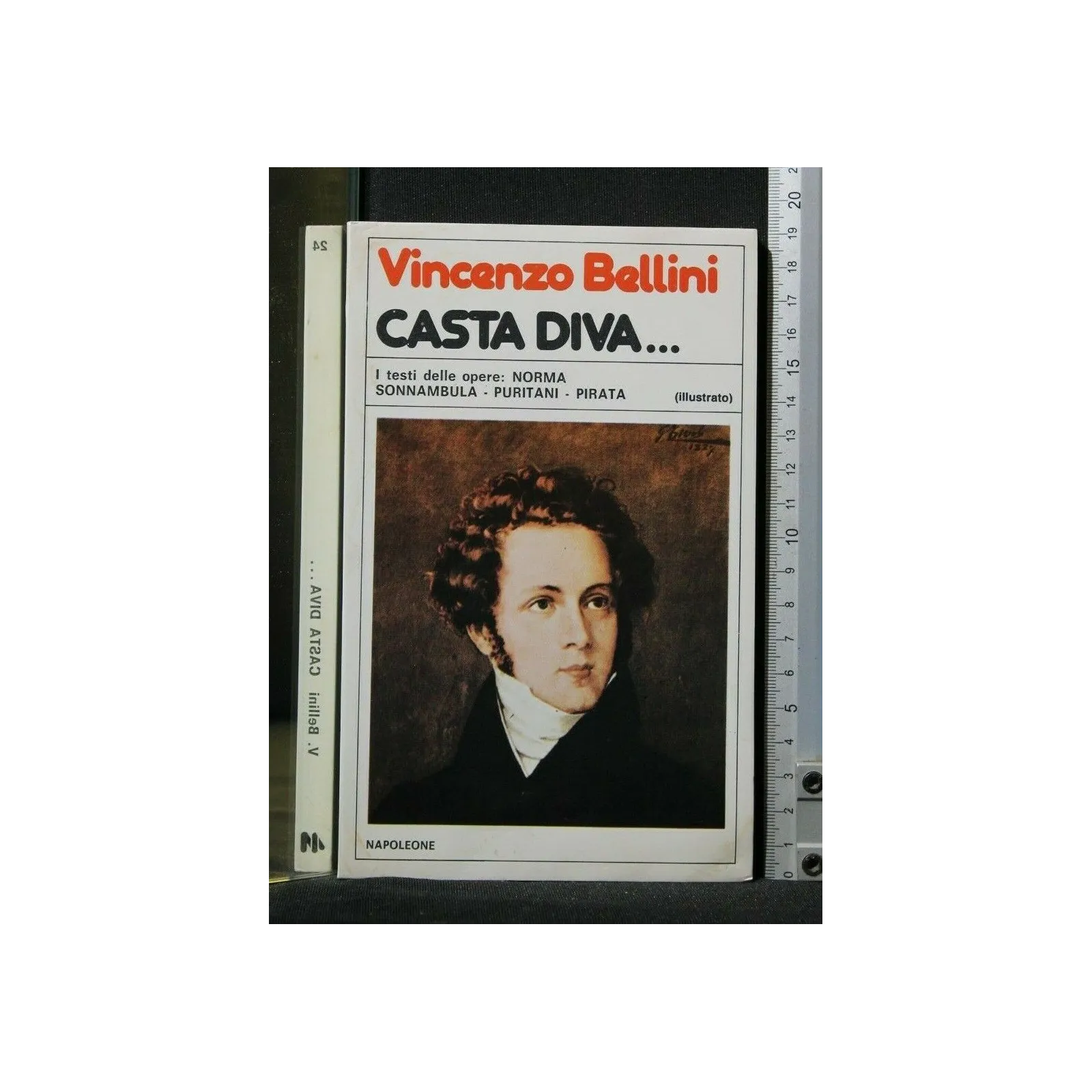 CASTA DIVA... I TESTI DELLE OPERE: NORMA, SONNAMBULA, PURITANI,
