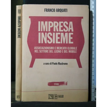 IMPRESA INSIEME