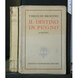IL DESTINO IN PUGNO