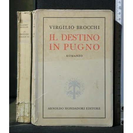 IL DESTINO IN PUGNO
