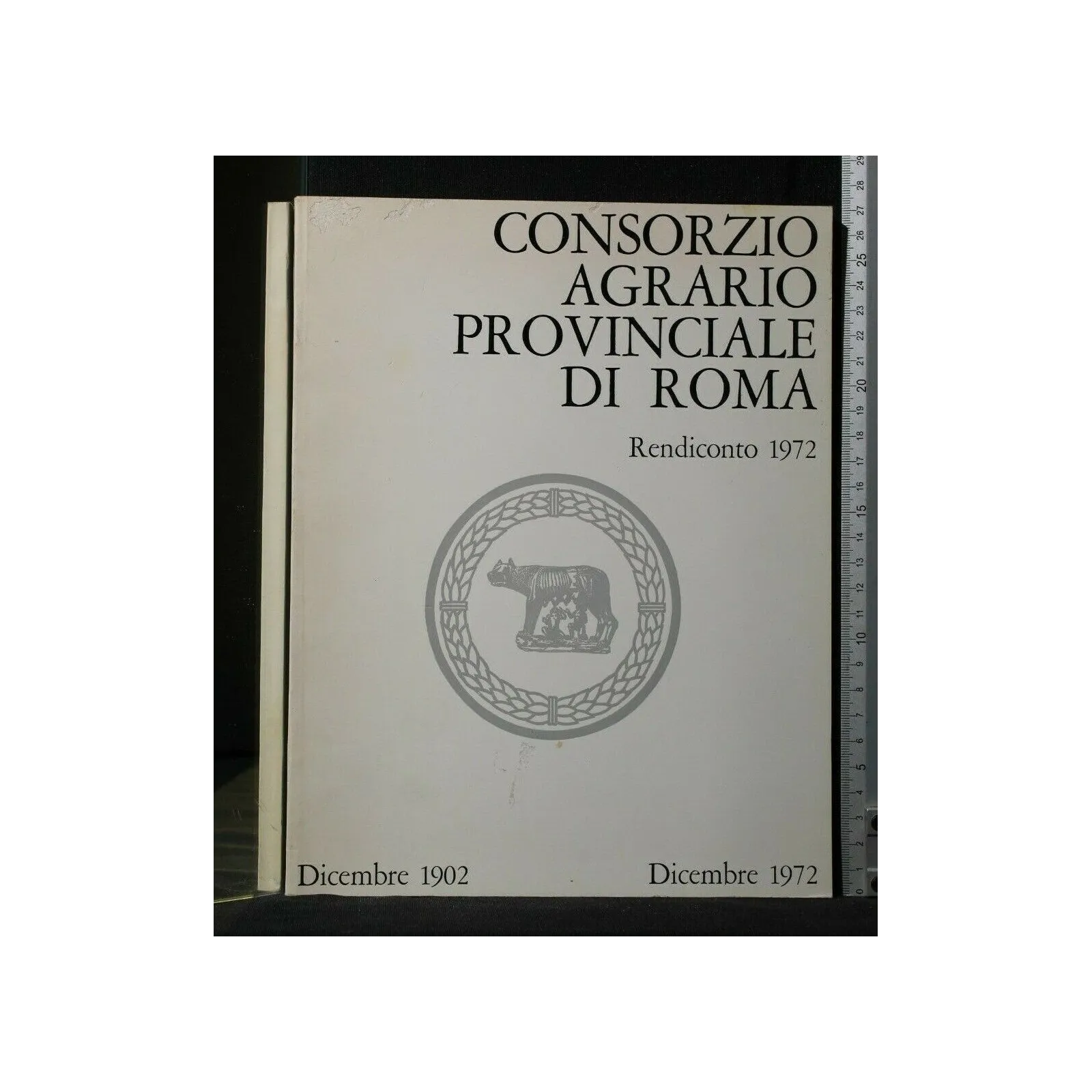 CONSORZIO AGRARIO PROVINCIALE DI ROMA