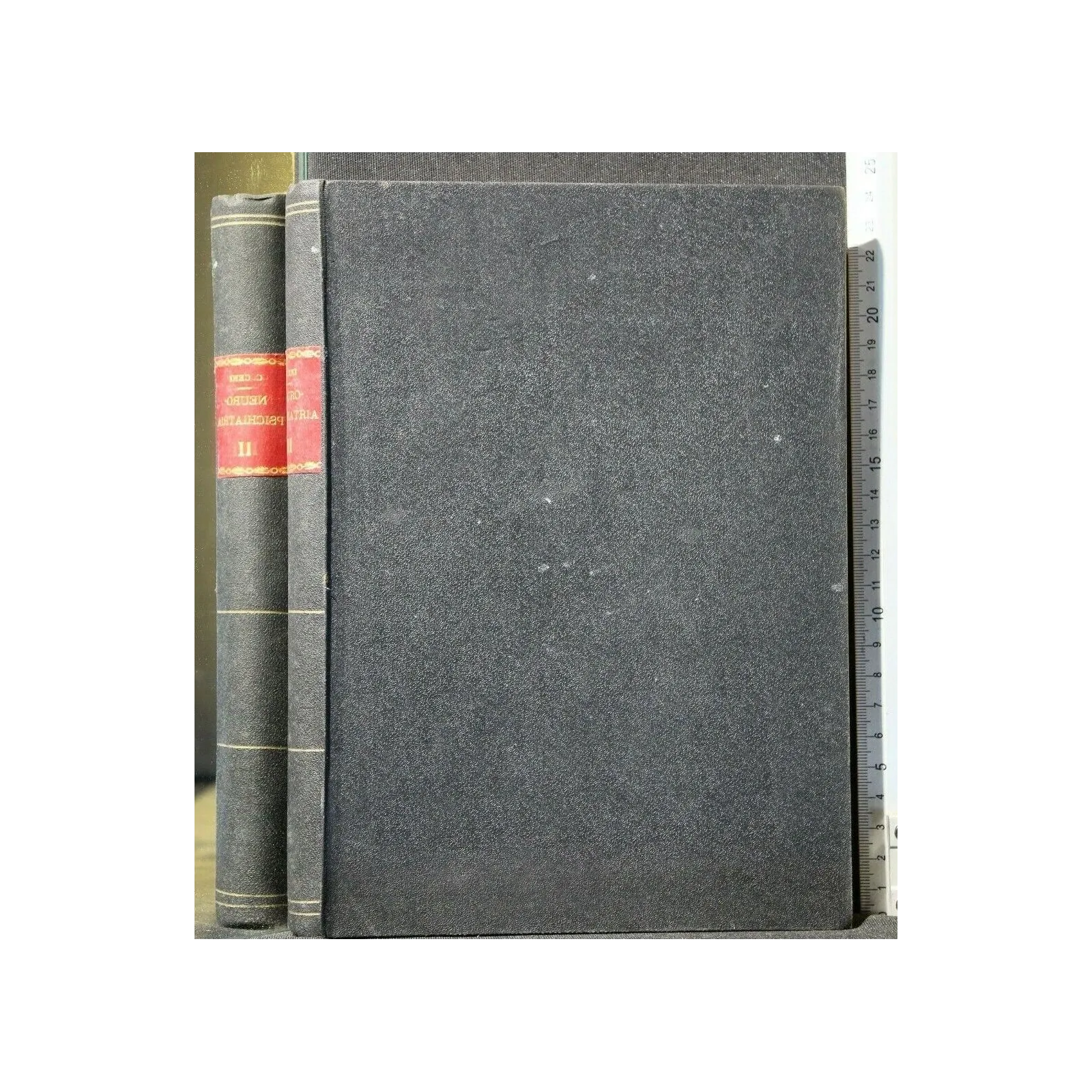 NEURO-PSICHIATRIA VOL. 2