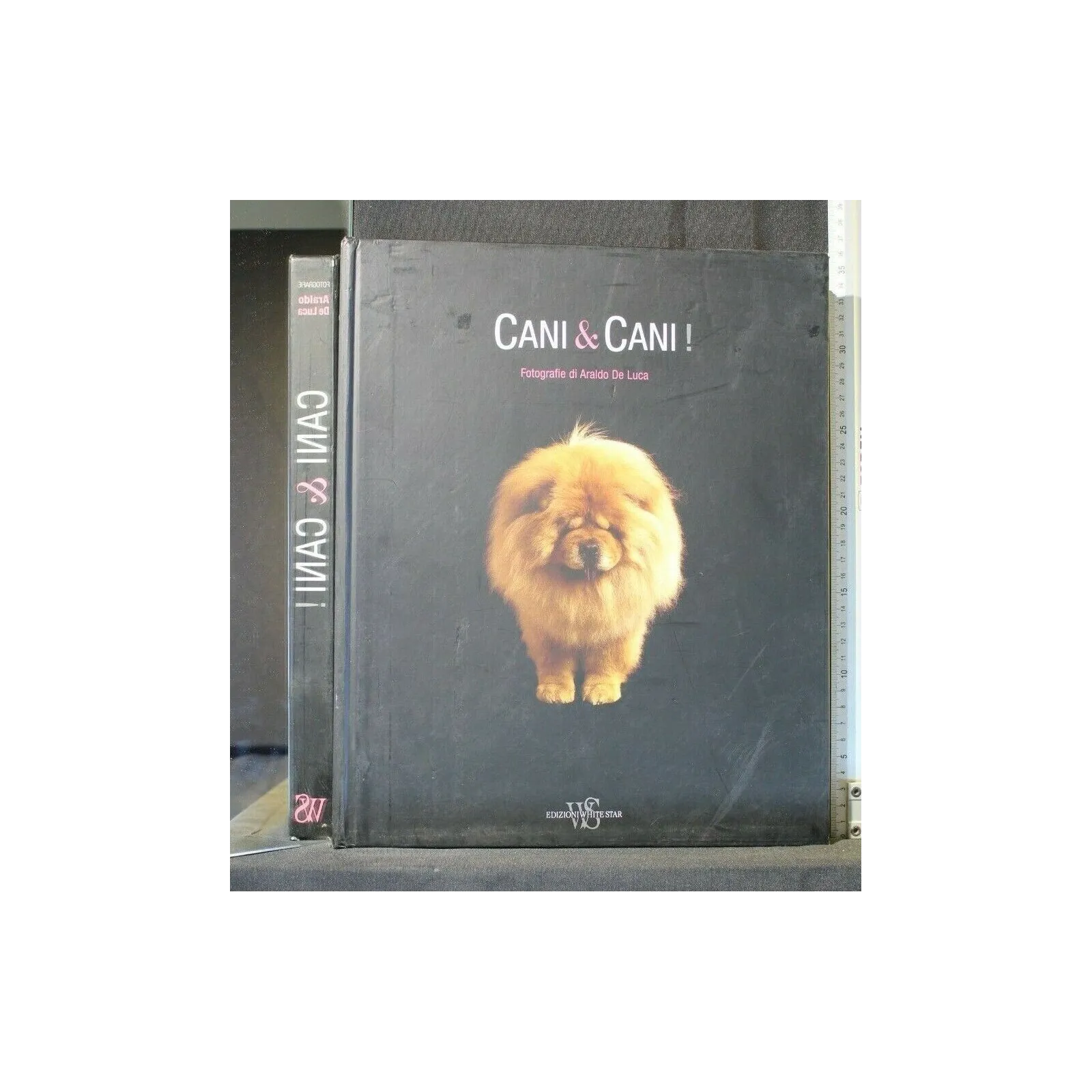 CANI & CANI! FOTOGRAFIE DI ARALDO DE LUCA