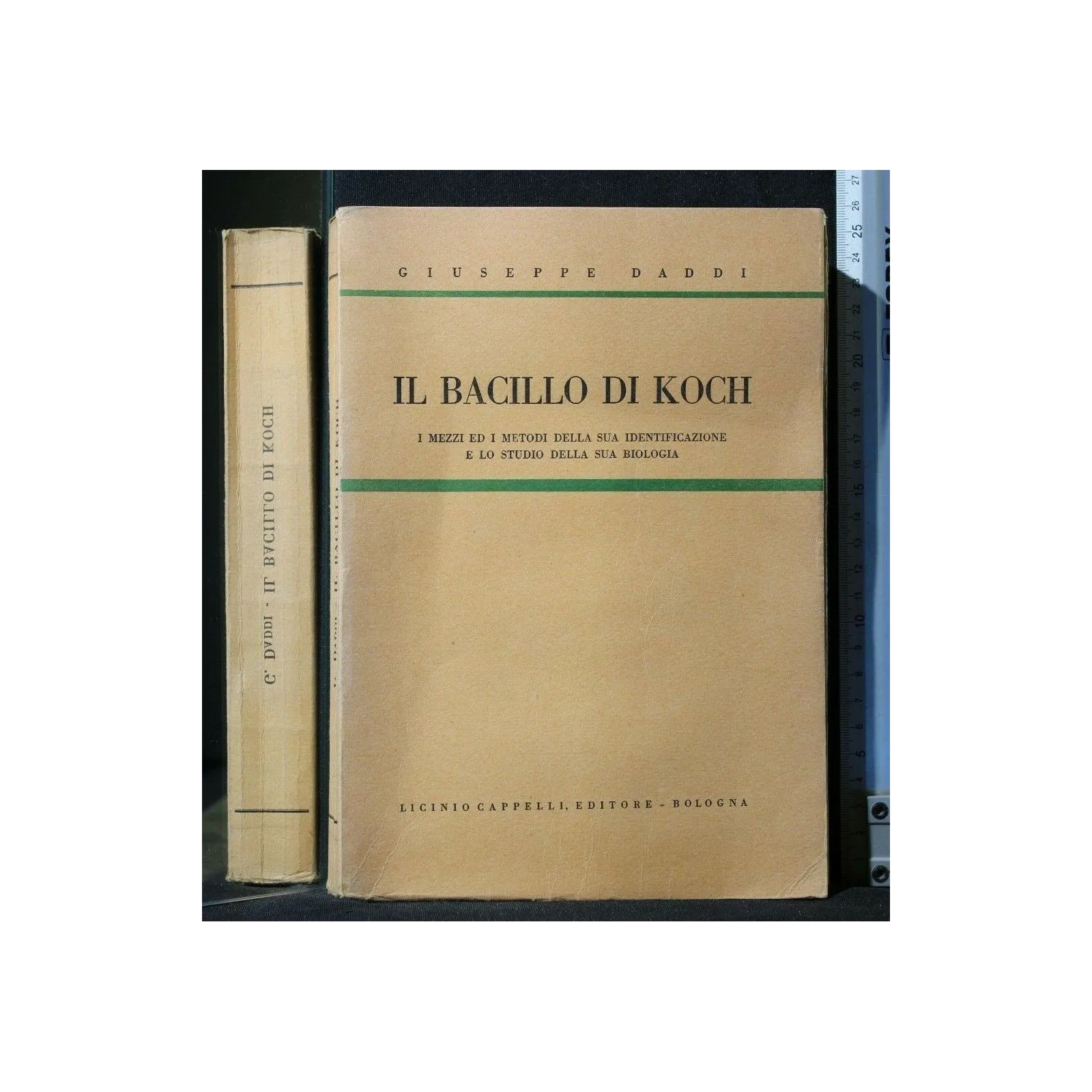 IL BACILLO DI KOCH