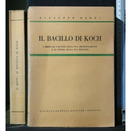 IL BACILLO DI KOCH