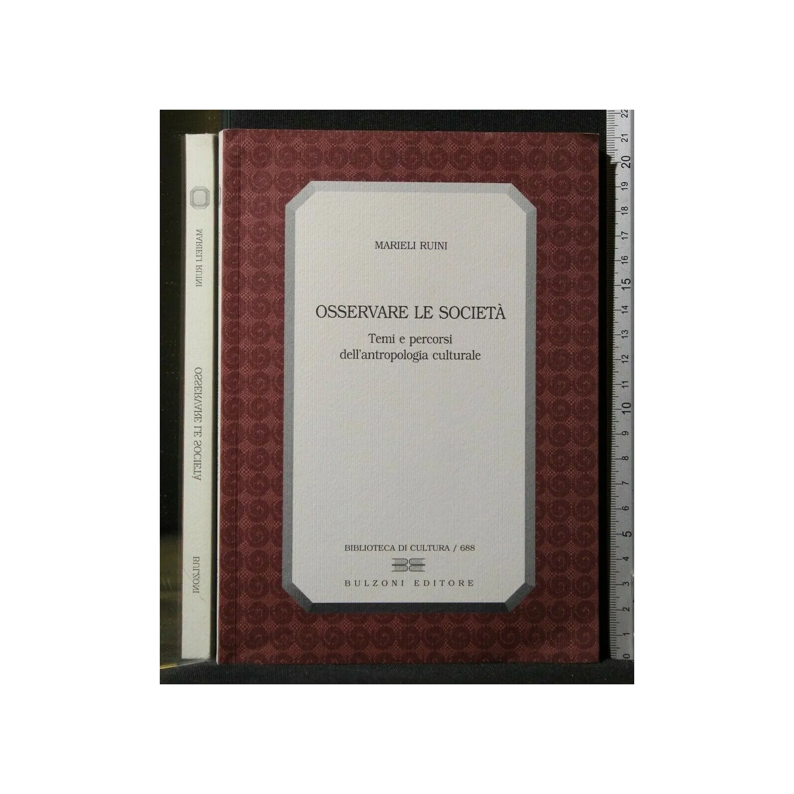 OSSERVARE LE SOCIETA'