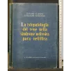 LA ISTOPATOLOGIA DEL RENE NELLA SINDROME NEFROSICA