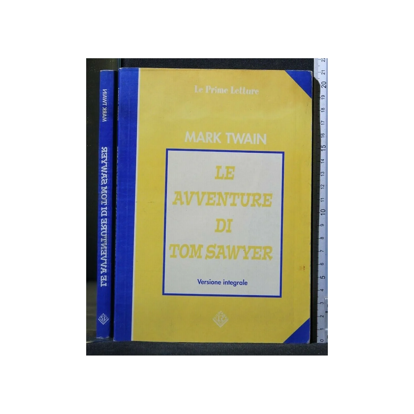 LE AVVENTURE DI TOM SAWYER