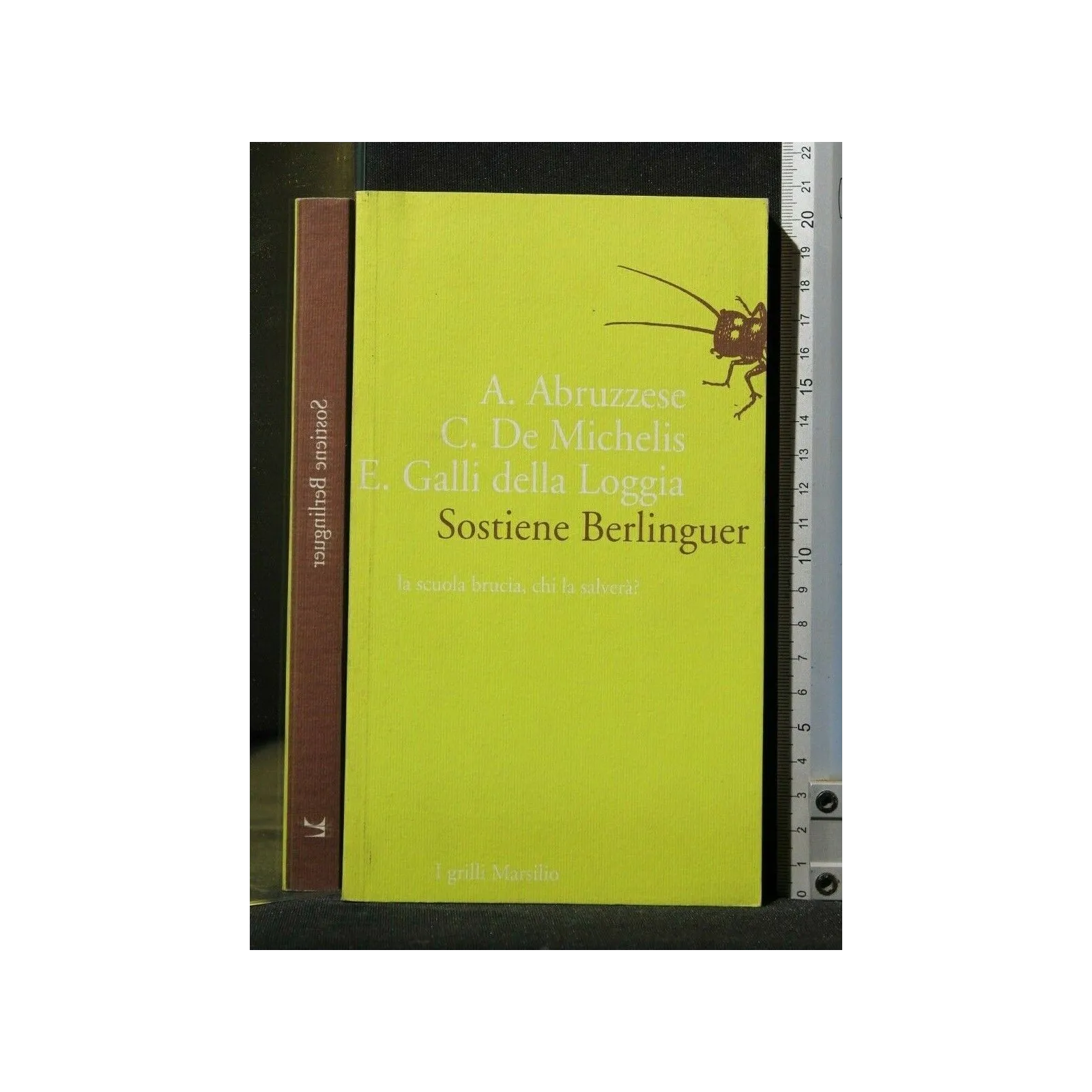 SOSTIENE BERLINGUER LA SCUOLA BRUCIA, CHI LA SALVERÀ?