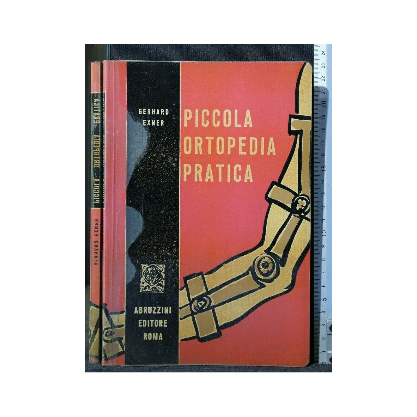 PICCOLA ORTOPEDIA PRATICA