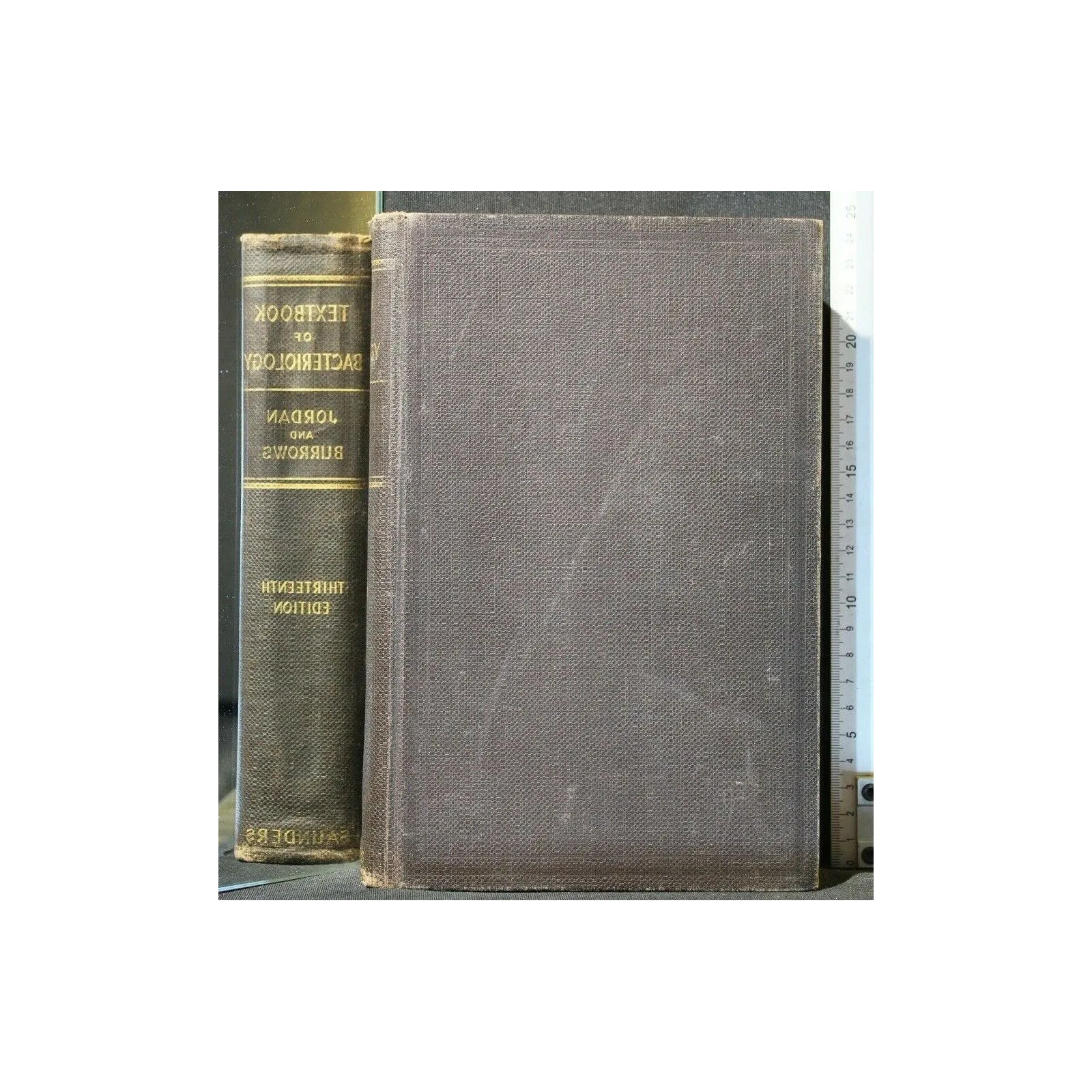 TEXTBOOK OF BACTERIOLOGY