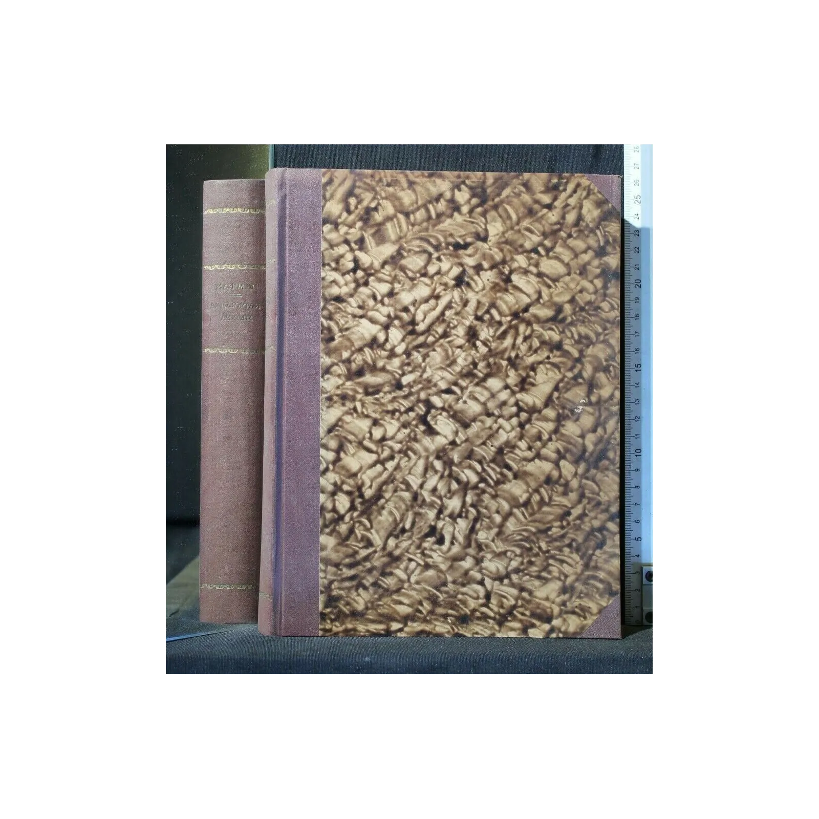 INTRODUZIONE ALLO STUDIO DELLA RADIOLOGIA MEDICA