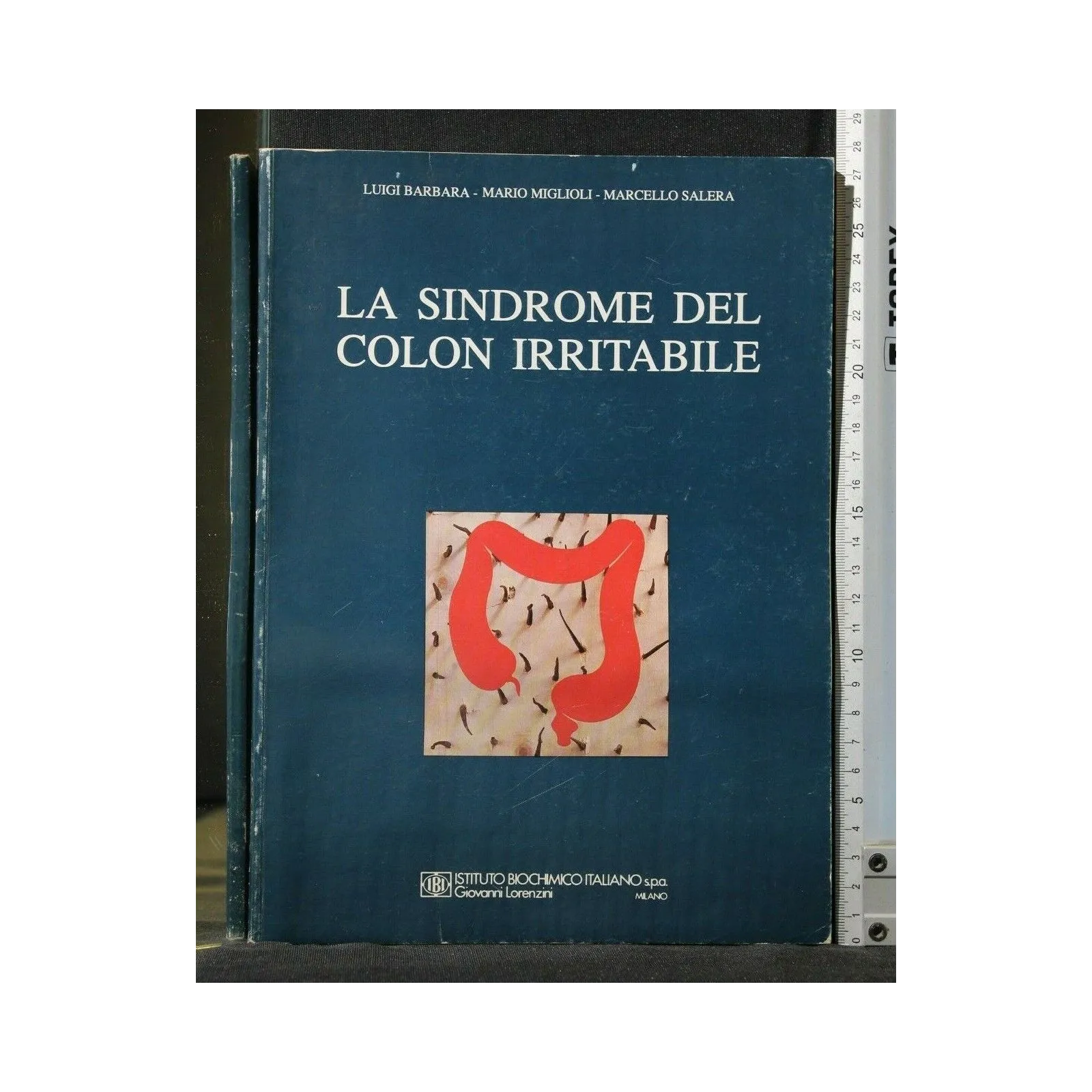 LA SINDROME DEL COLON IRRITABILE