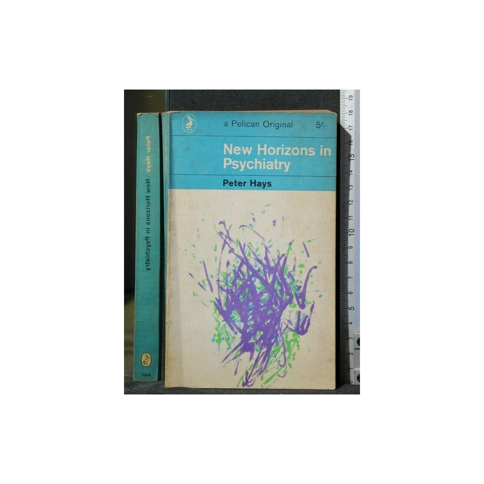 NEW HORIZONS IN PSYCHIATRY