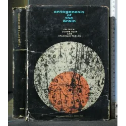 ONTOGENESIS OF THE BRAIN
