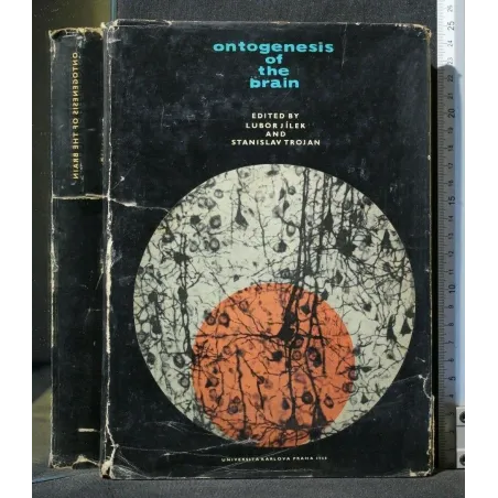 ONTOGENESIS OF THE BRAIN