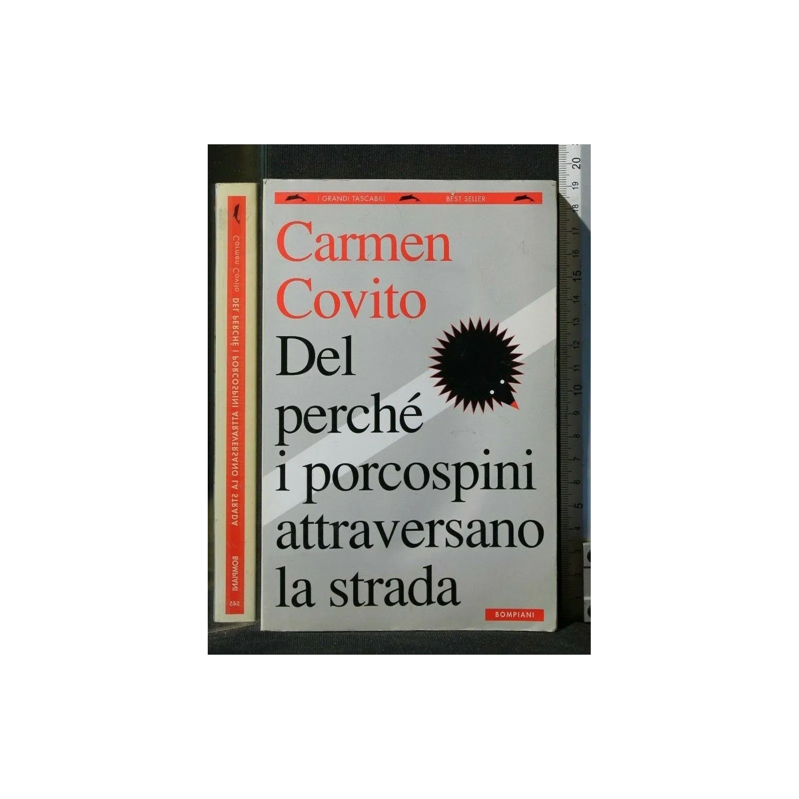 DEL PERCHE' I PORCOSPINI ATTRAVERSANO LA STRADA