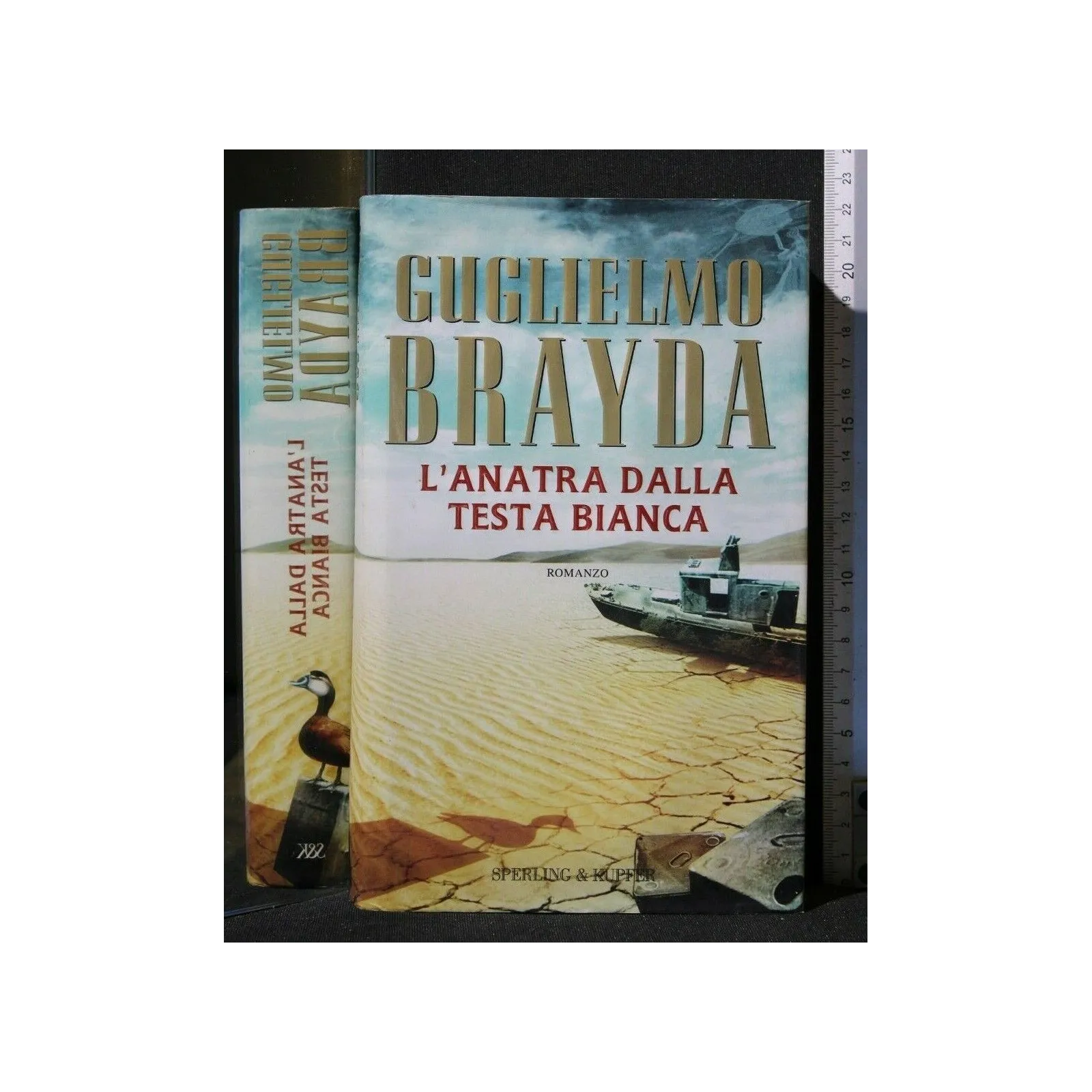 L'ANATRA DALLA TESTA BIANCA