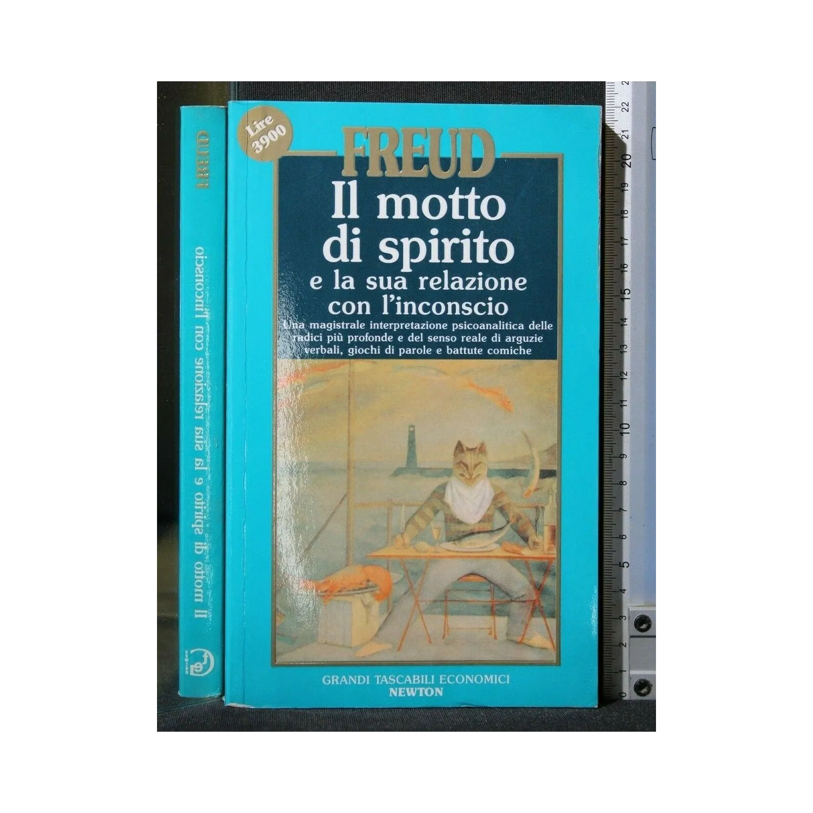 IL MOTTO DI SPIRITO E LA SUA RELAZIONE CON L'INCONSCIO