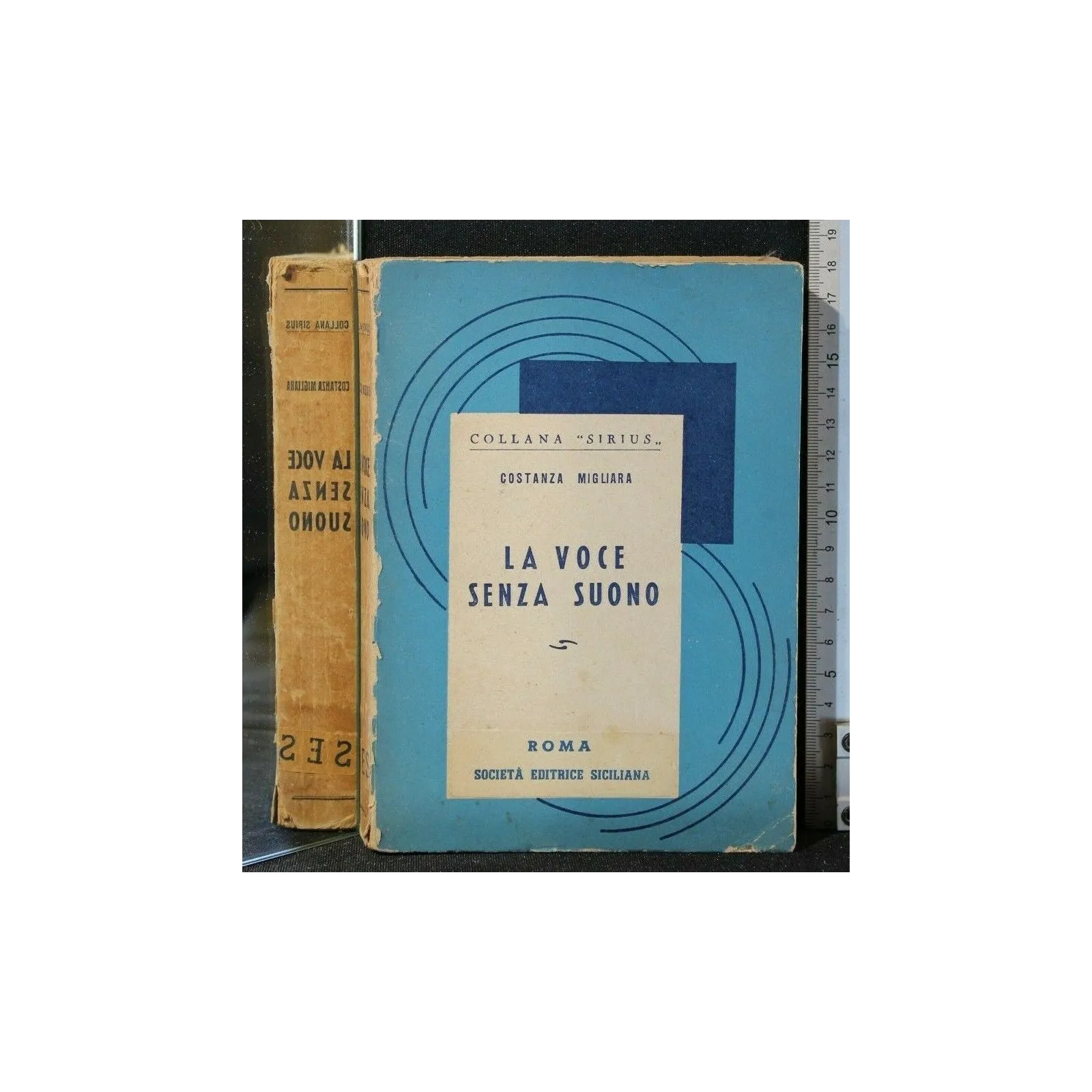 LA VOCE SENZA SUONO