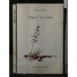 AGAVI IN FIORE